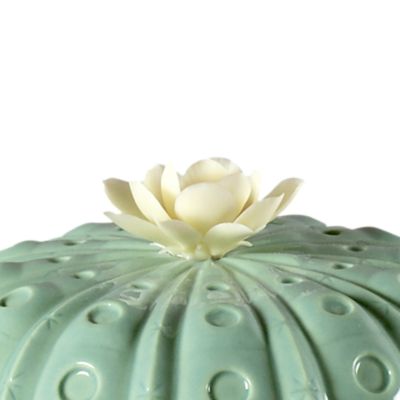 Astrophytum Cactus Diffuser - Gardens of Valencia