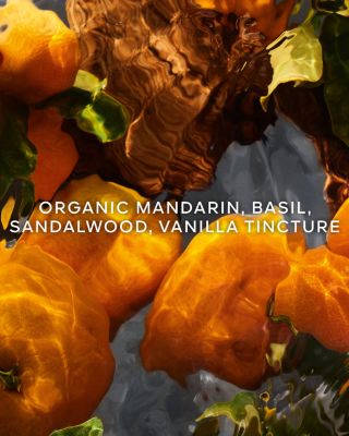 Aqua Allegoria Mandarine Basilic Forte Eau de Parfum 4.2 oz.