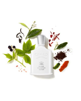 Silver Mountain Water