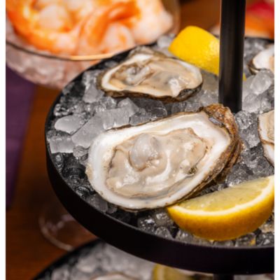 GE Profile Opal 2.0 Ultra Nugget Ice Maker