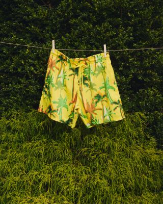 Palms Offset Ultralight & Packable 5.5" Swim Trunks