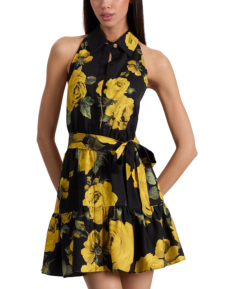 Alice and Olivia Miranda Dress