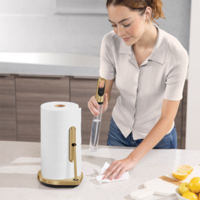 Kitchen Paper Towel Holder with Spray Pump