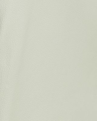 The Leather Mini Skirt