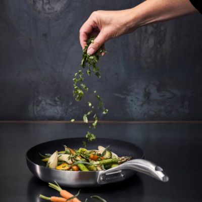 CS+ 11&amp;quot; Frypan