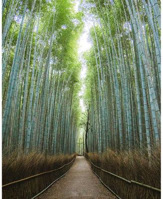 Bamboo Hydration Serum