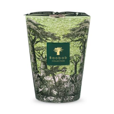 Max 24 Sacred Trees Touba Candle, 105.76 oz.