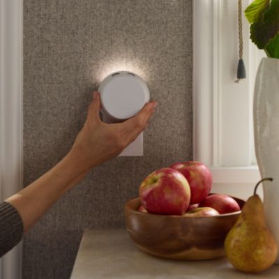 Pumpkin Ginger Pura Smart Fragrance Diffuser Refill, Set of 2