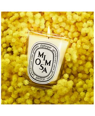 Mimosa Scented Candle 6.5 oz.