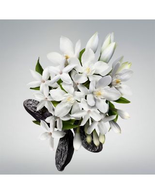 Good Girl Bowtastic Eau de Parfum Collector's Holiday Edition 2.7 oz.