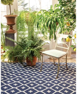 Dash Albert by Annie Selke DA771 Elizabeth Indoor/Outdoor Area Rug, 4'0"x6'0"