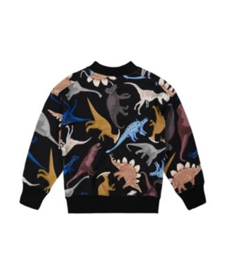 Boys' Pullover Fleece Sweatshirt - Little Kid