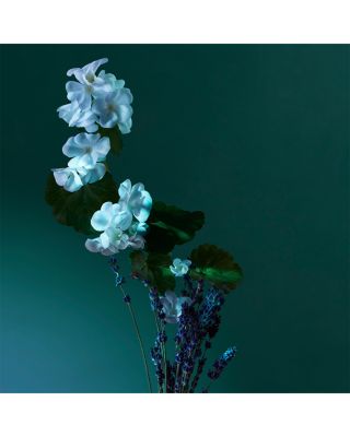 A Balm of Calm Eau de Parfum 1.7 oz.