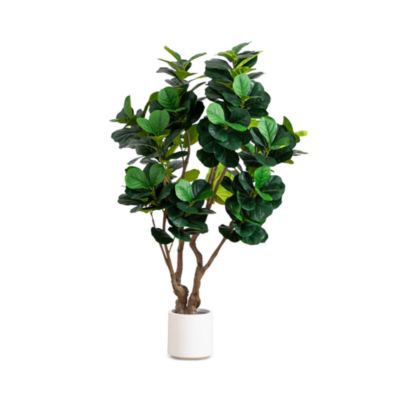 6&#39; Artificial Grand Fiddle Leaf Tree 