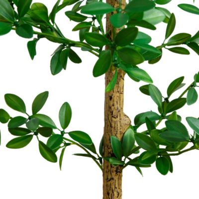 5' Artificial Shady Lady Black Olive Tree