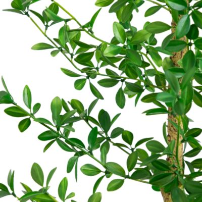 7' Artificial Shady Lady Black Olive Tree