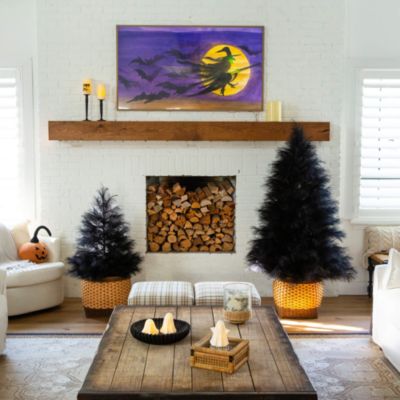 4' Artificial Halloween Black Pampas Grass Christmas Tree