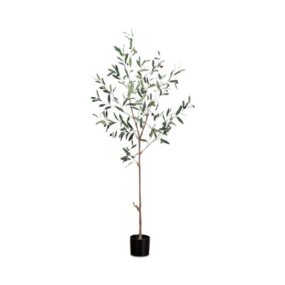 5&#39; Artificial Slim Minimalist Olive Tree