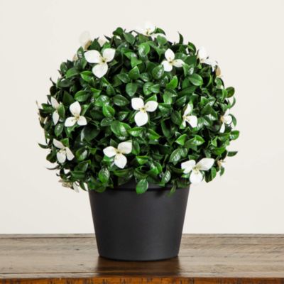 15" UV Resistant Artificial Boxwood and Gardenia Topiary Plant (Indoor/Outdoor)