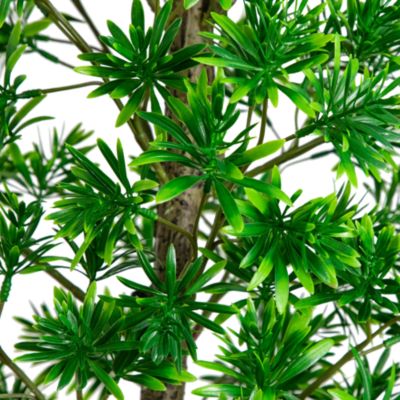 6' UV Artificial Podocarpus Tree