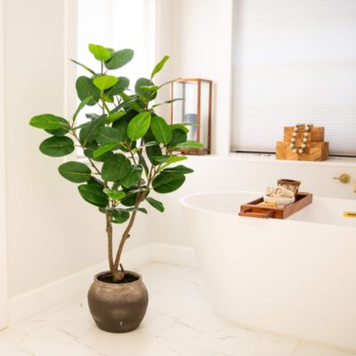 4&#39; Artificial Audrey Ficus Tree in Rustic Decorative Planter
