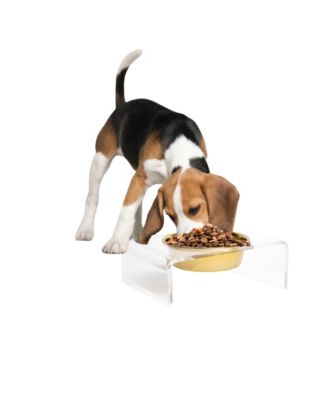 Clear Single Pet Bowl Feeder