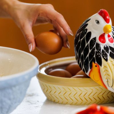 Home to Roost Mother Hen Storage