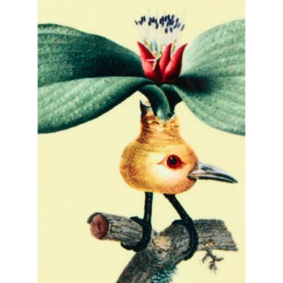 x Beto Val Disk Coasters, Set of 4