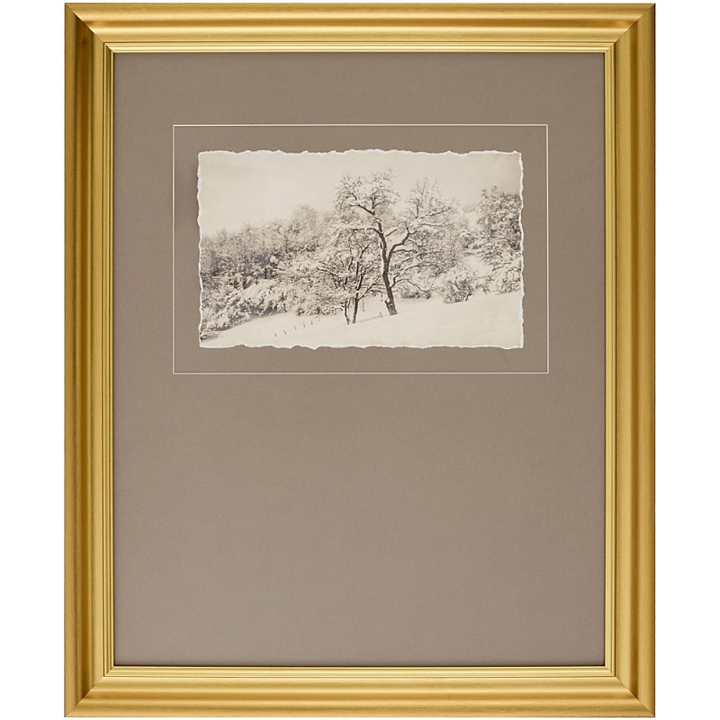 Surya Coconino Framed Art