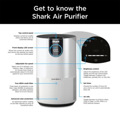 Air Purifier with True HEPA