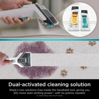 CarpetXpert with Stainstriker Upright Deep Carpet Cleaner