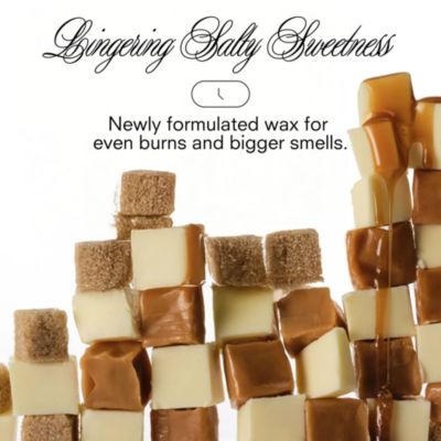 Salty Caramel Standard Candle 8.5 oz.