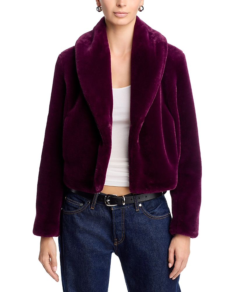 Blanknyc Shawl Collar Faux Fur Coat In Multi