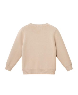 Boys' Multi Dinosaur Sweater - Little Kid, Big Kid