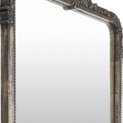 Aaliyah Full Length Mirror