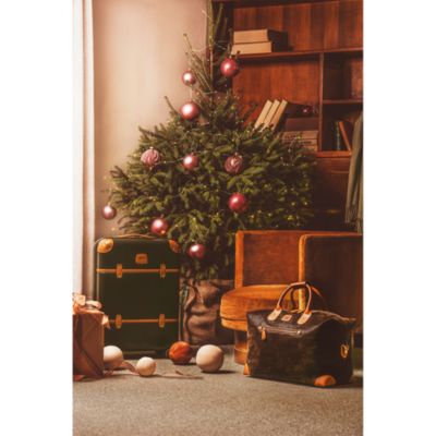 Bellagio Expandable Wheeled Luggage Collection