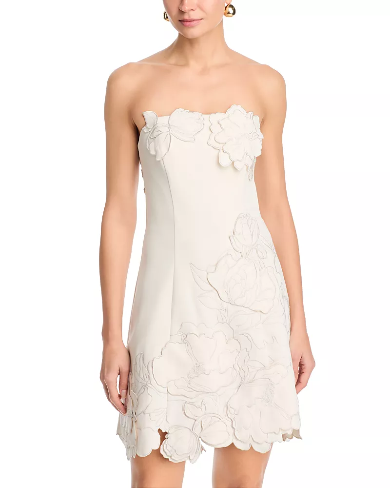 Leo Lin Ayla Applique Bustier Mini Dress