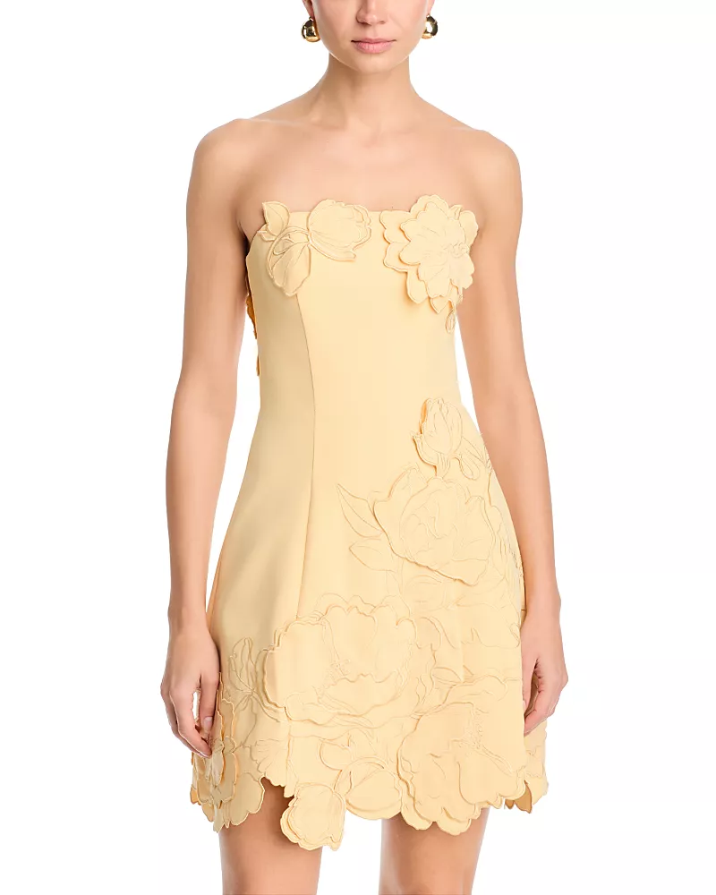 Leo Lin Ayla Applique Bustier Mini Dress - Exclusive