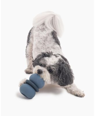 Armadillo Toy - Small