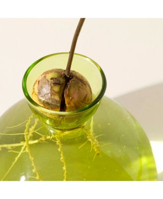  Avocado Vase by ilex Studio