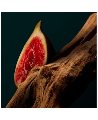 F&eacute;tiche Le Santal Eau de Parfum 2.7 oz.