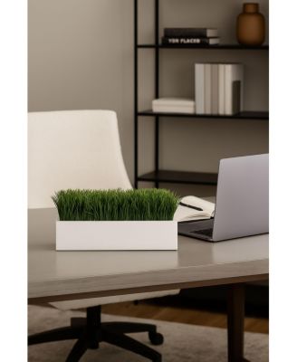  Rectangle Pot Grass Arrangement