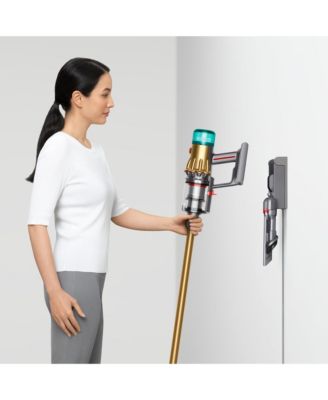  V12 Detect Slim Absolute Cordless Vacuum