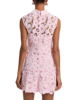 Lace Collared Mini Dress