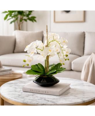 Orchid in Tapered Vase