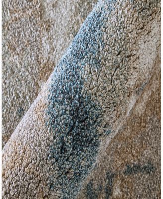 Feizy Richmond RCH39R6F Area Rug 10' x 12'7"