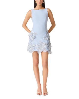 Skye Floral Appliqu&eacute; Mini Dress