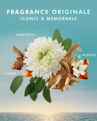 Body Travel Gift Set