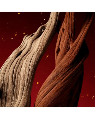 The Alchemist's Garden Lignum Idealis Eau de Parfum 3.3 oz.