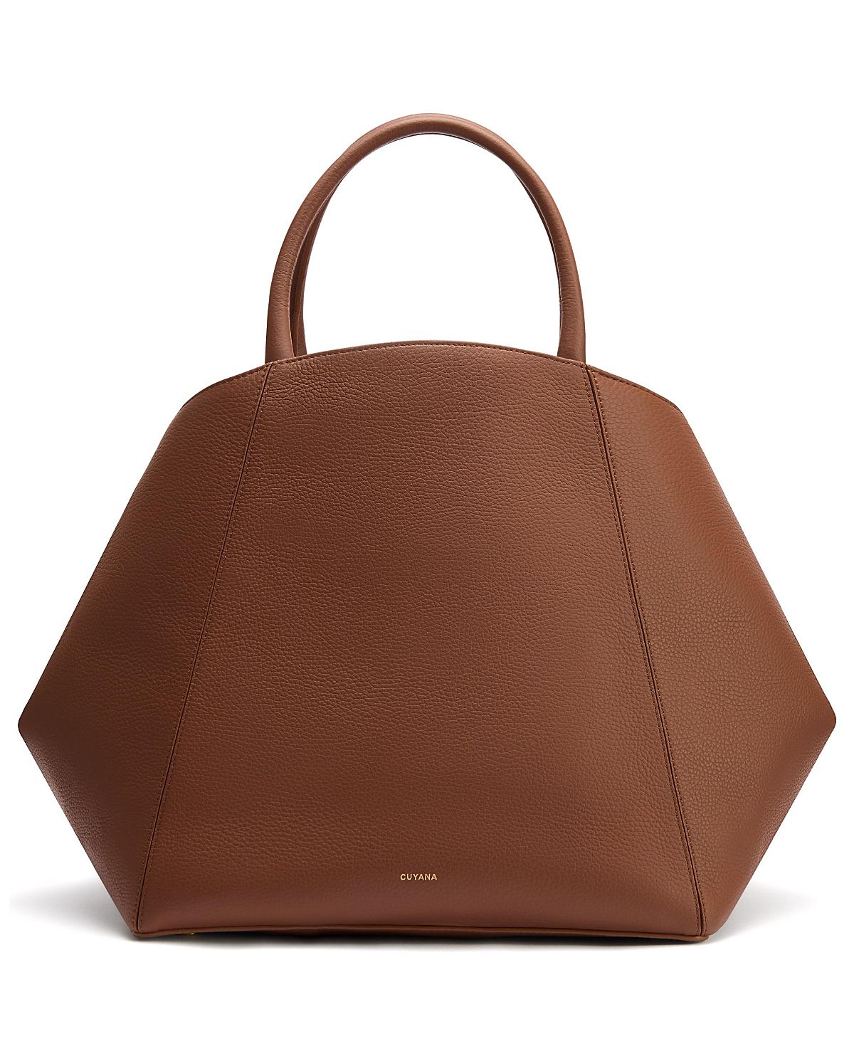 Cuyana Forma Satchel